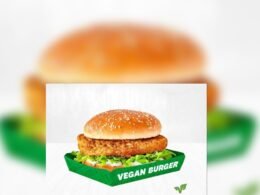 VEGETABLE BURGER